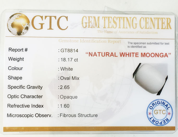 20.25 ratti/18.17 ct Natural Certified  White Coral/सफ़ेद मूंगा